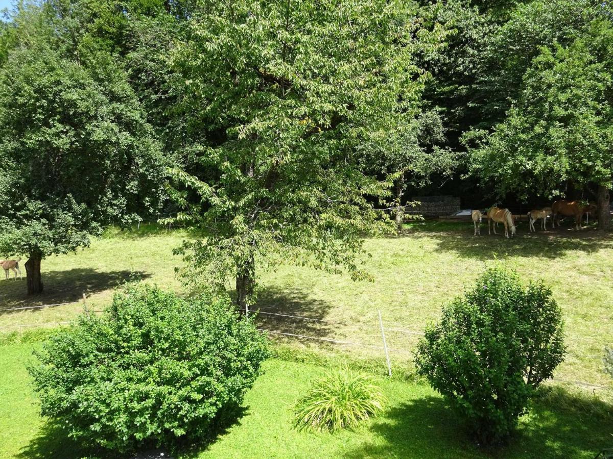 Ferienwohnungen Auhaus Bad Reichenhall Eksteriør billede