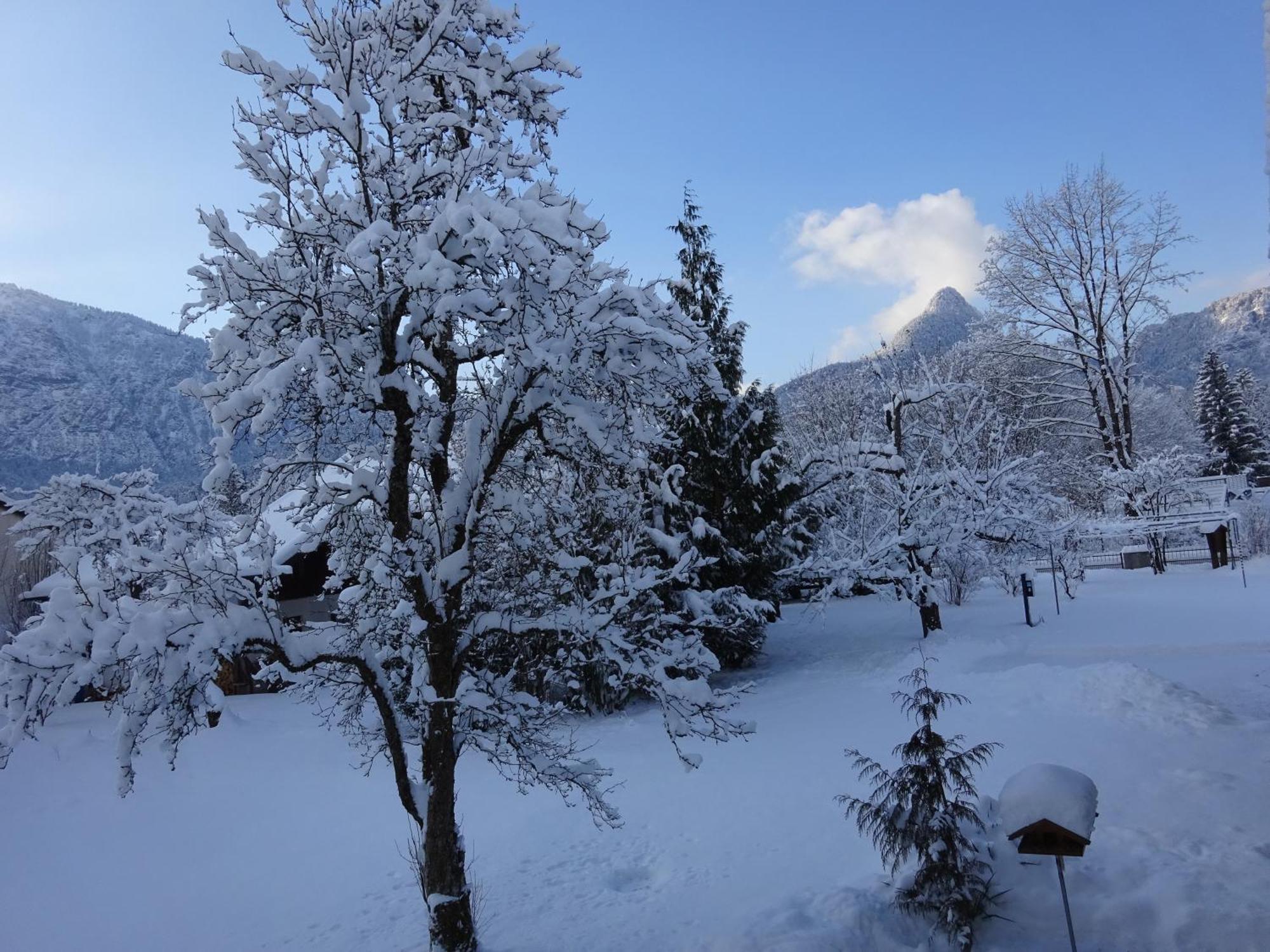 Ferienwohnungen Auhaus Bad Reichenhall Eksteriør billede