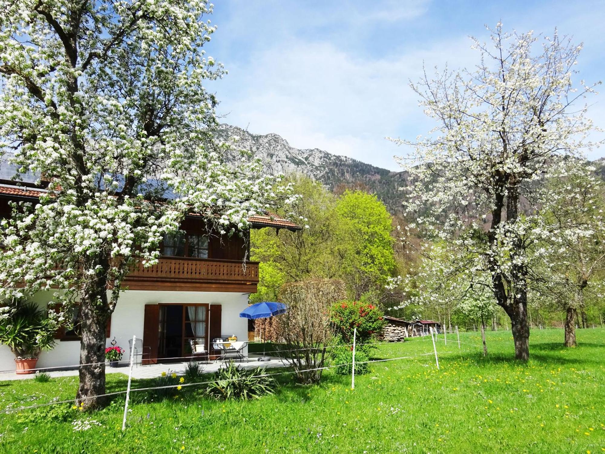 Ferienwohnungen Auhaus Bad Reichenhall Eksteriør billede