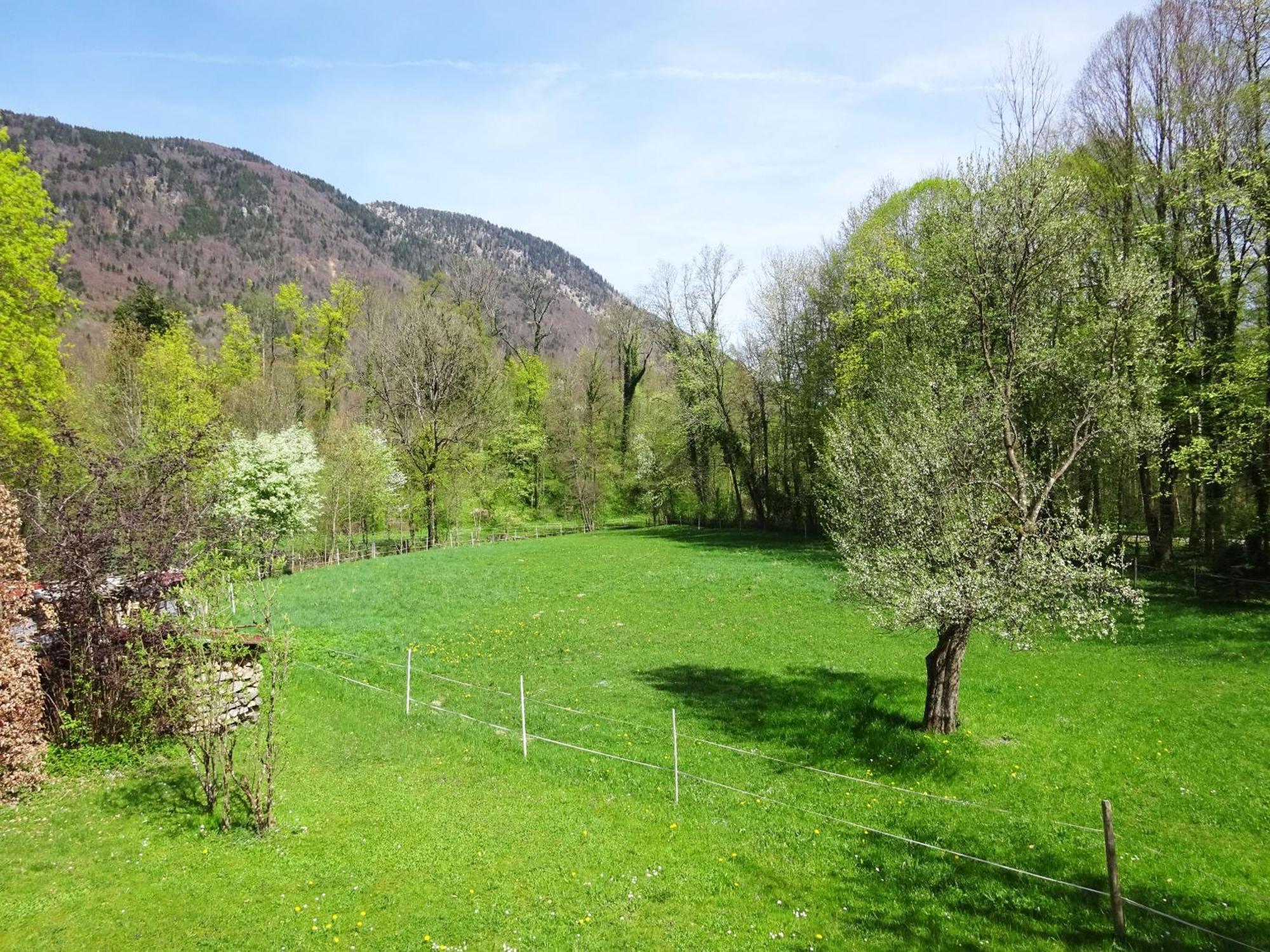 Ferienwohnungen Auhaus Bad Reichenhall Eksteriør billede